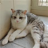 Bắt
