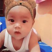 Giả