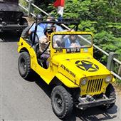 Dự