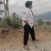 Bài