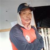 Sức