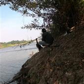 Vệ 