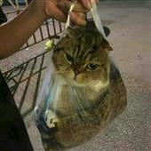 Kho