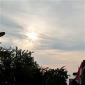Các