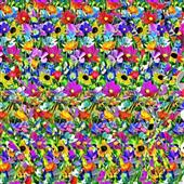 Thi