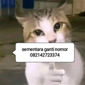chơ
