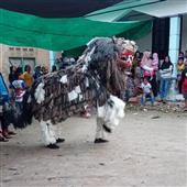Lướ