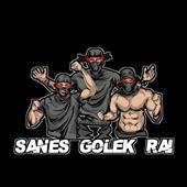 Giả