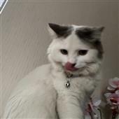 Blo