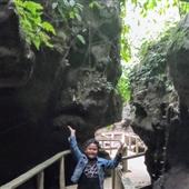 Dự 