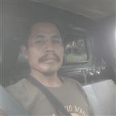 Giả