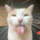 How