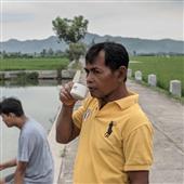 Biể